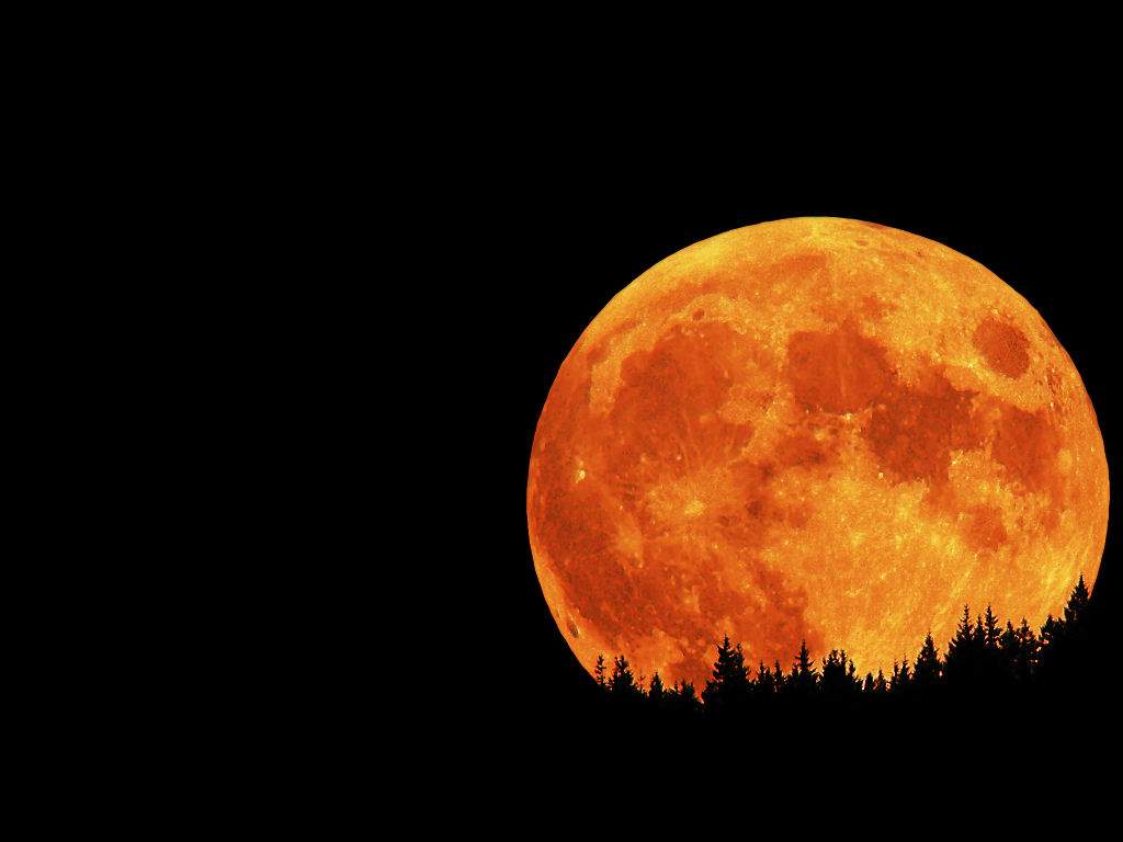Wallpapers For > Red Full Moon Wallpapers