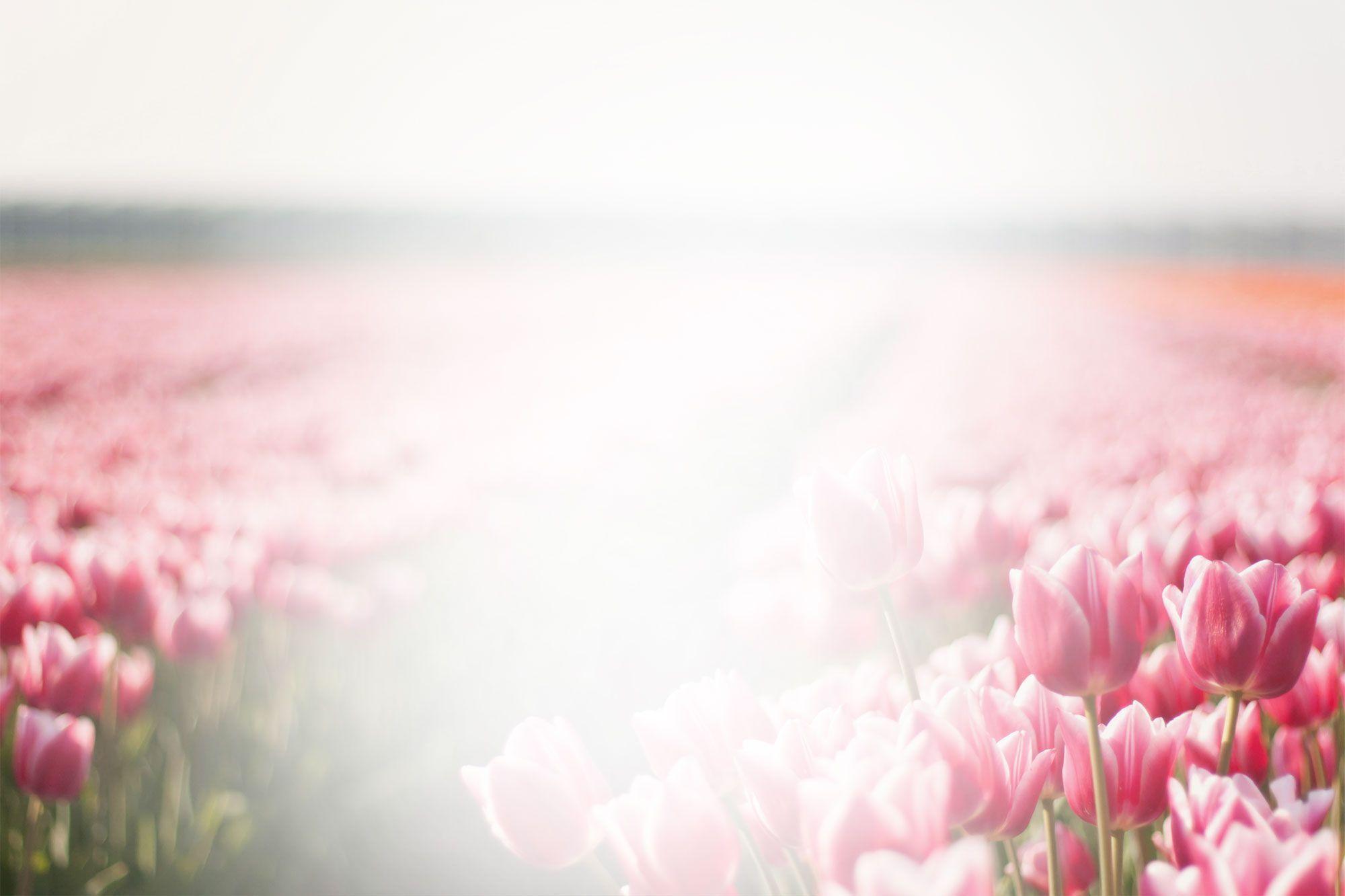 Funeral Backgrounds Pictures Wallpaper Cave
