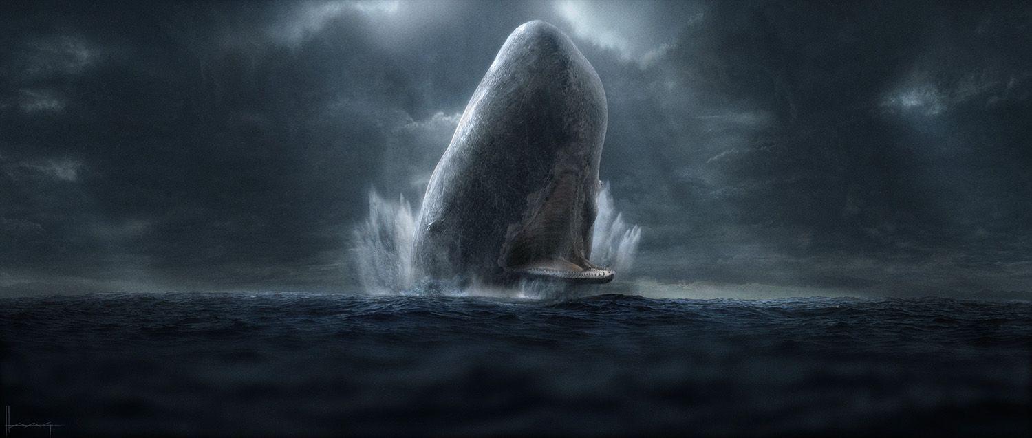 image For > Moby Dick Original Illustration