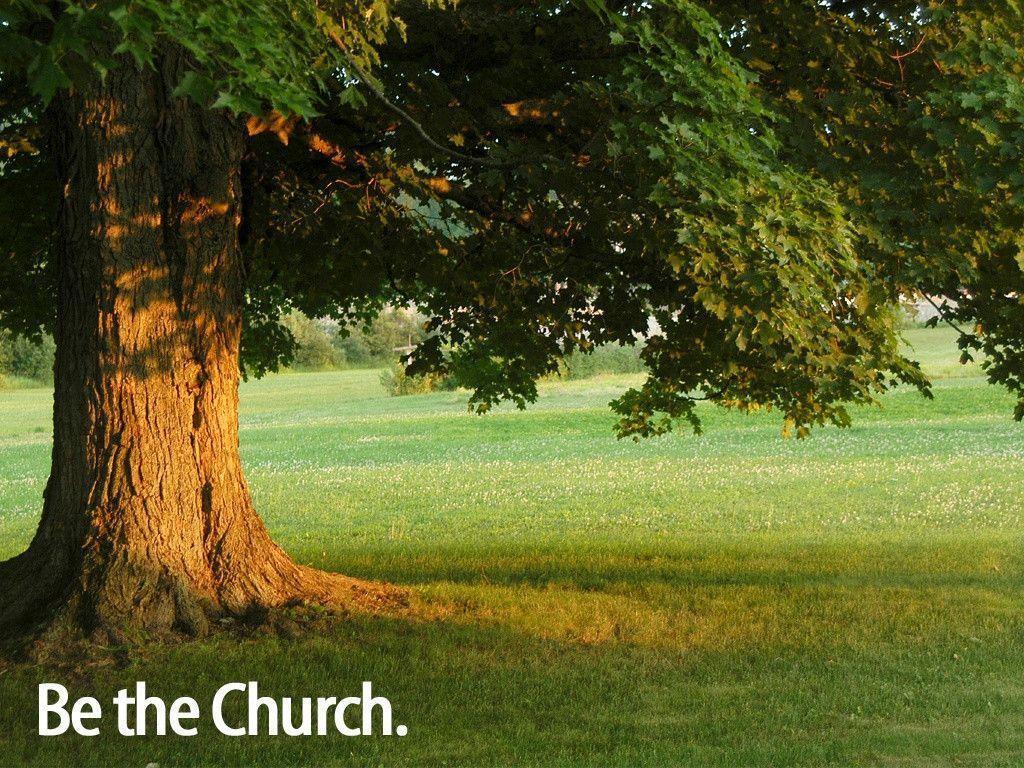 Be the church tree Wallpaper
