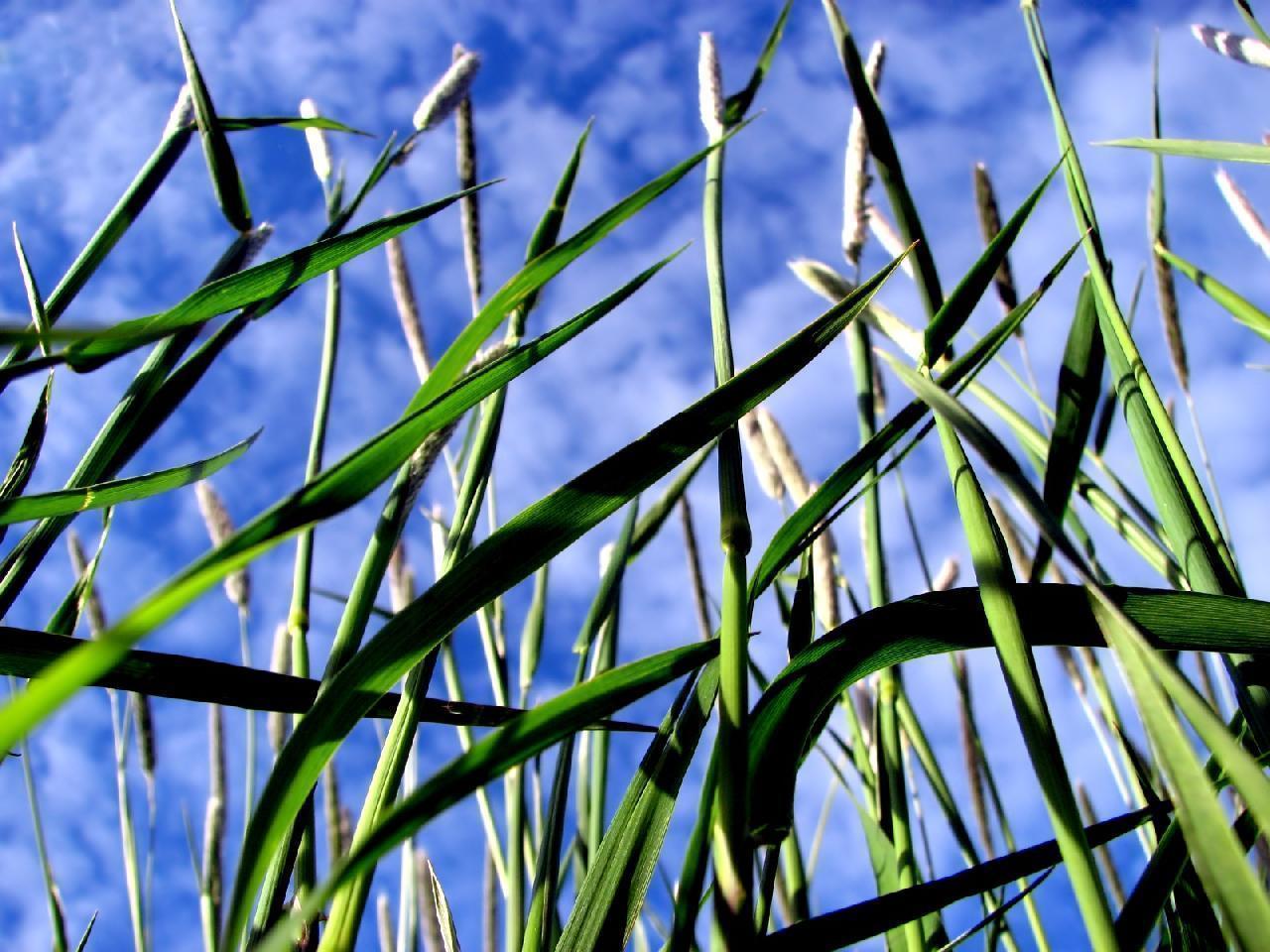 WINDOWS wallpaper HD DOWNLOAD FREE PHOTOS