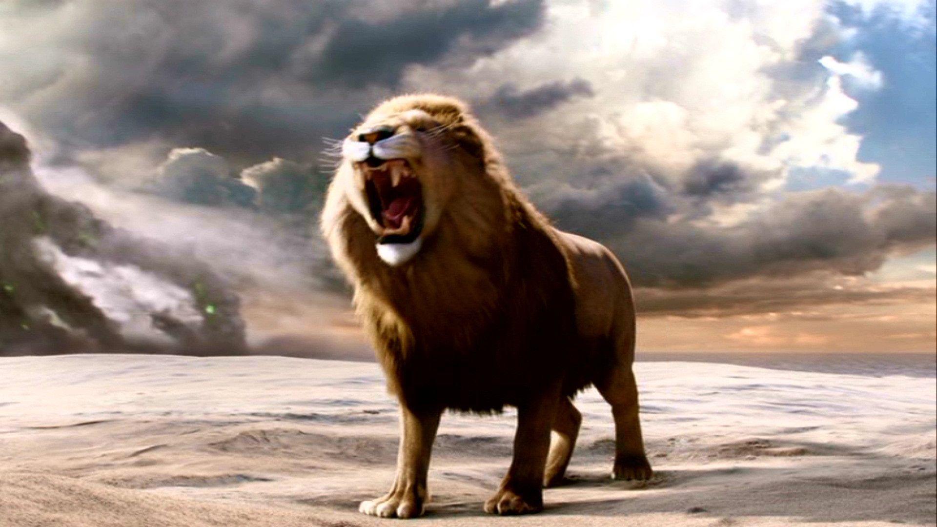 Aslan-Lion-2-The-Chronicles-of-Narnia-Wallpaper