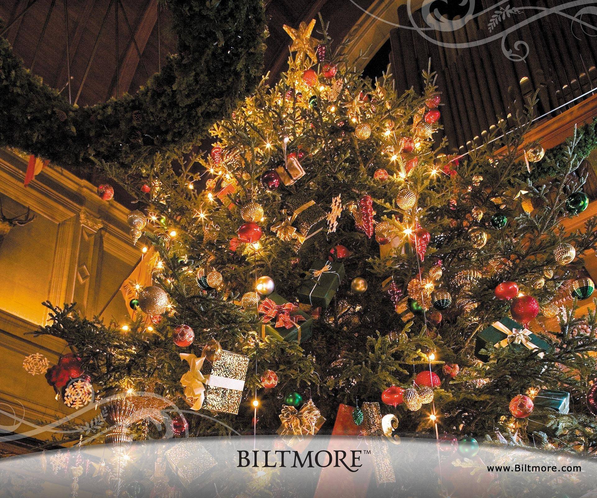Biltmore House Christmas Tree Wallpaper HD
