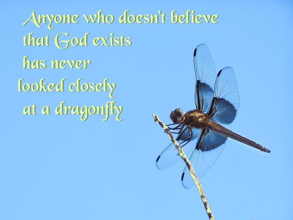 Dragonfly Wallpaper