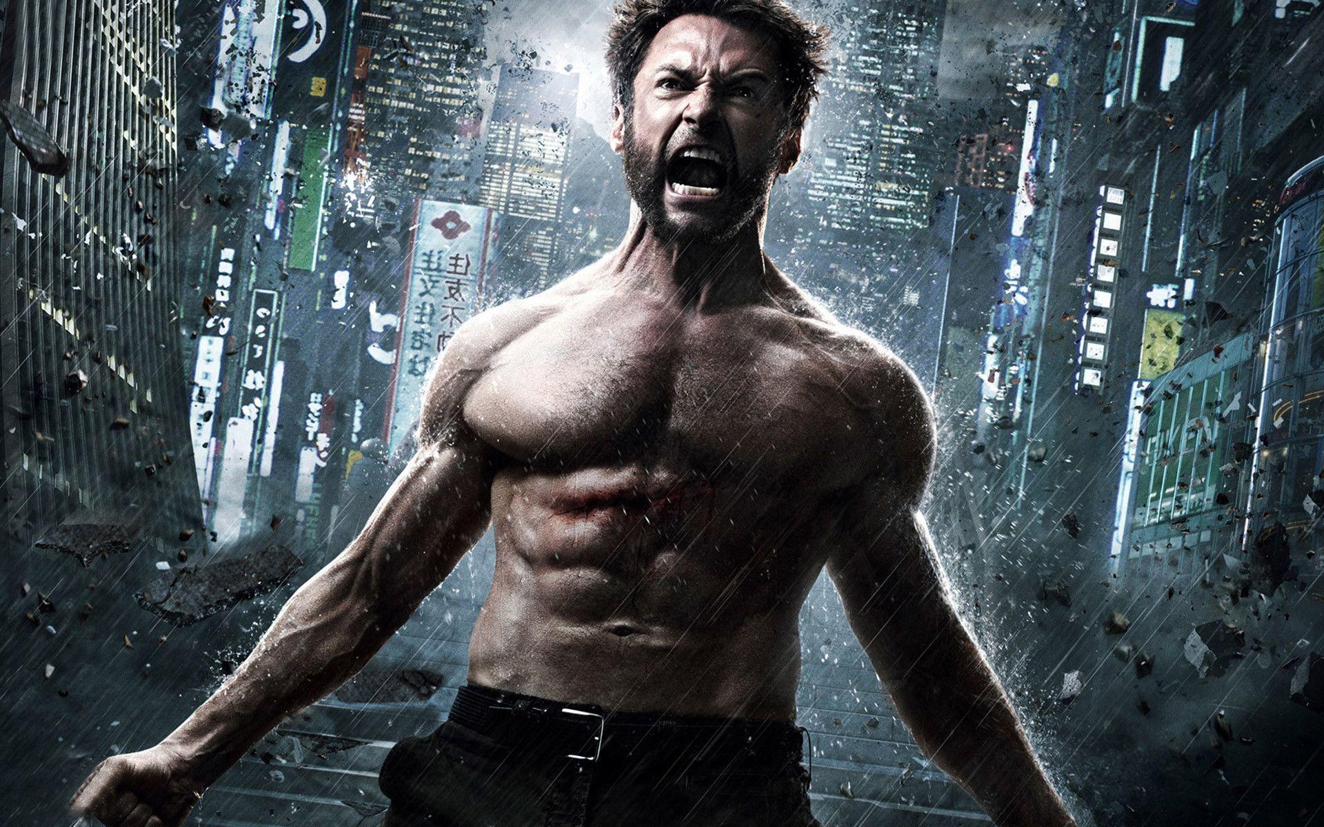Wolverine Wolverine Wallpaper, The Wolverine