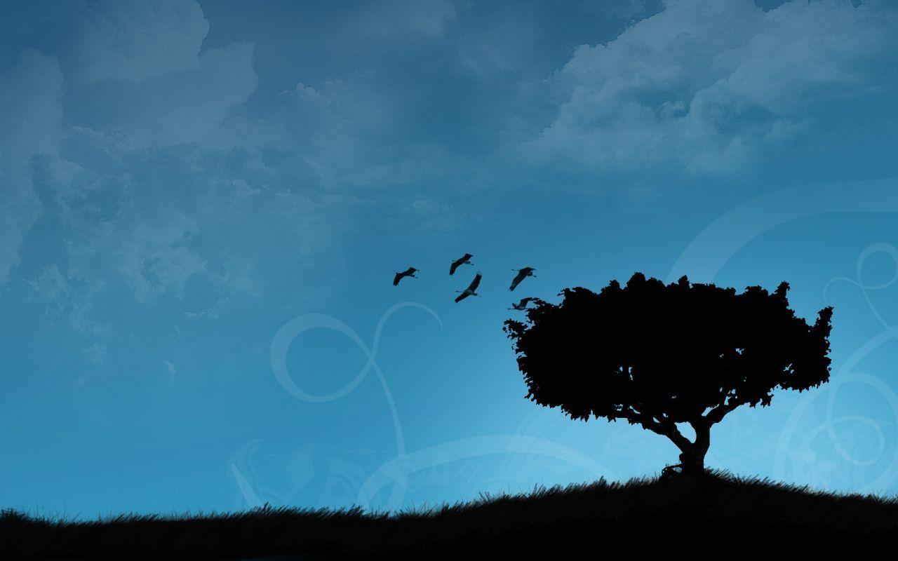 High Quality Wallpaper And Background