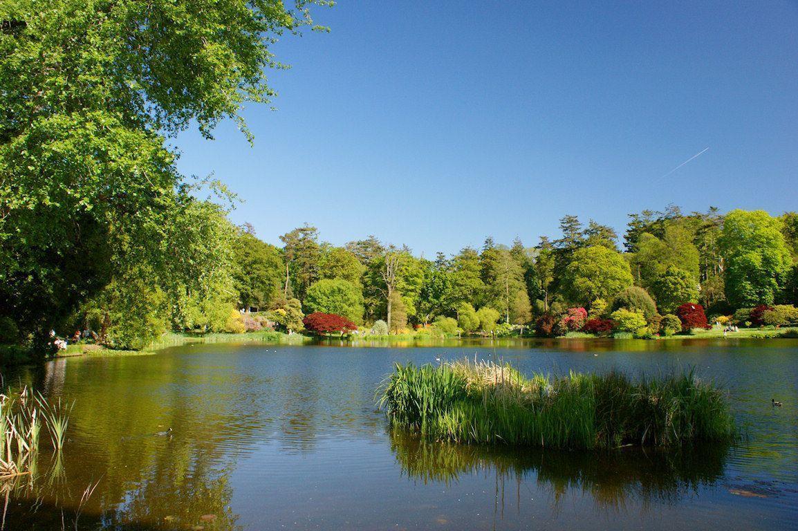 summer desktop wallpaper