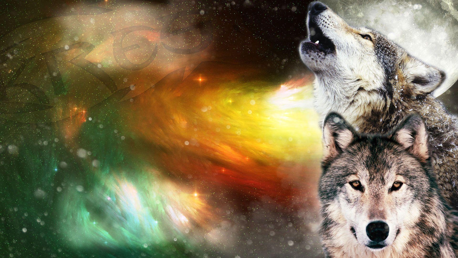 Howling Wolf Wallpaper Wallpaper Collection Wallpaper