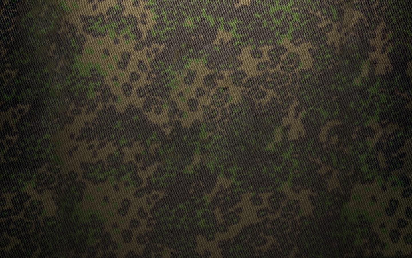 Camouflage Image Wallpaper, 1440x900 HD Wall DC