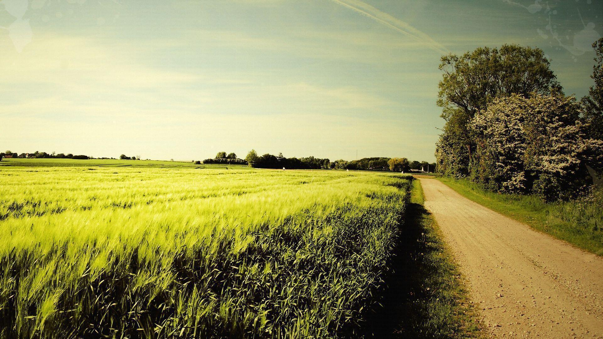 Nice Summer Day Wallpaper