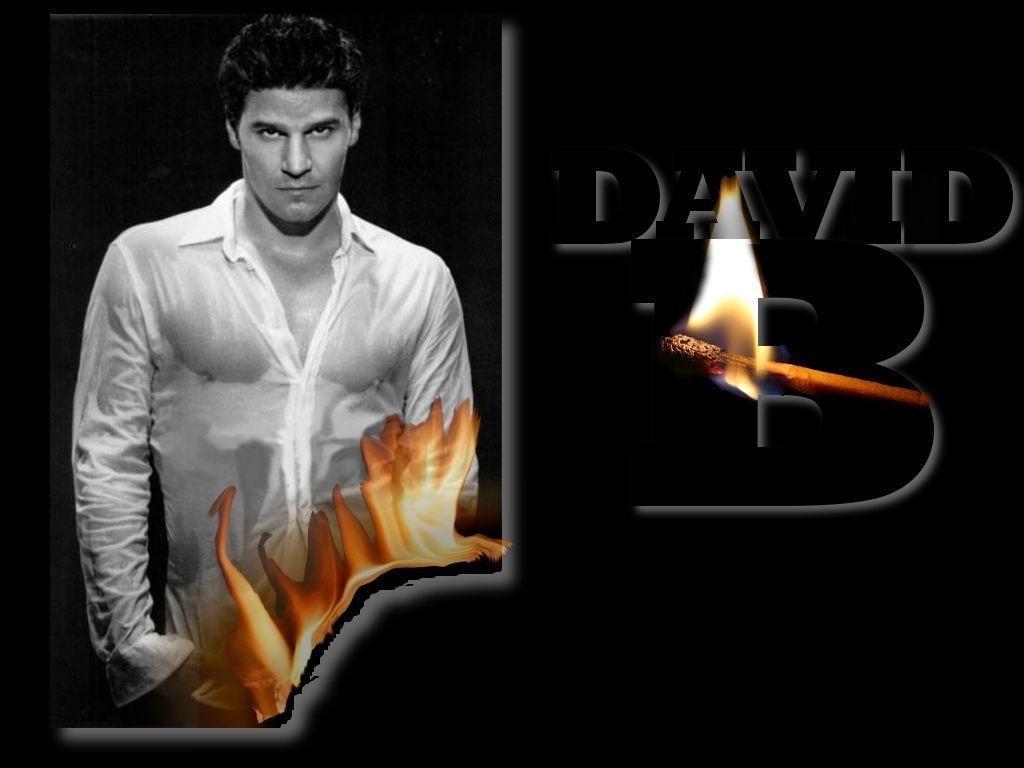 Hot David Boreanaz Wallpaper HD Wallpaper