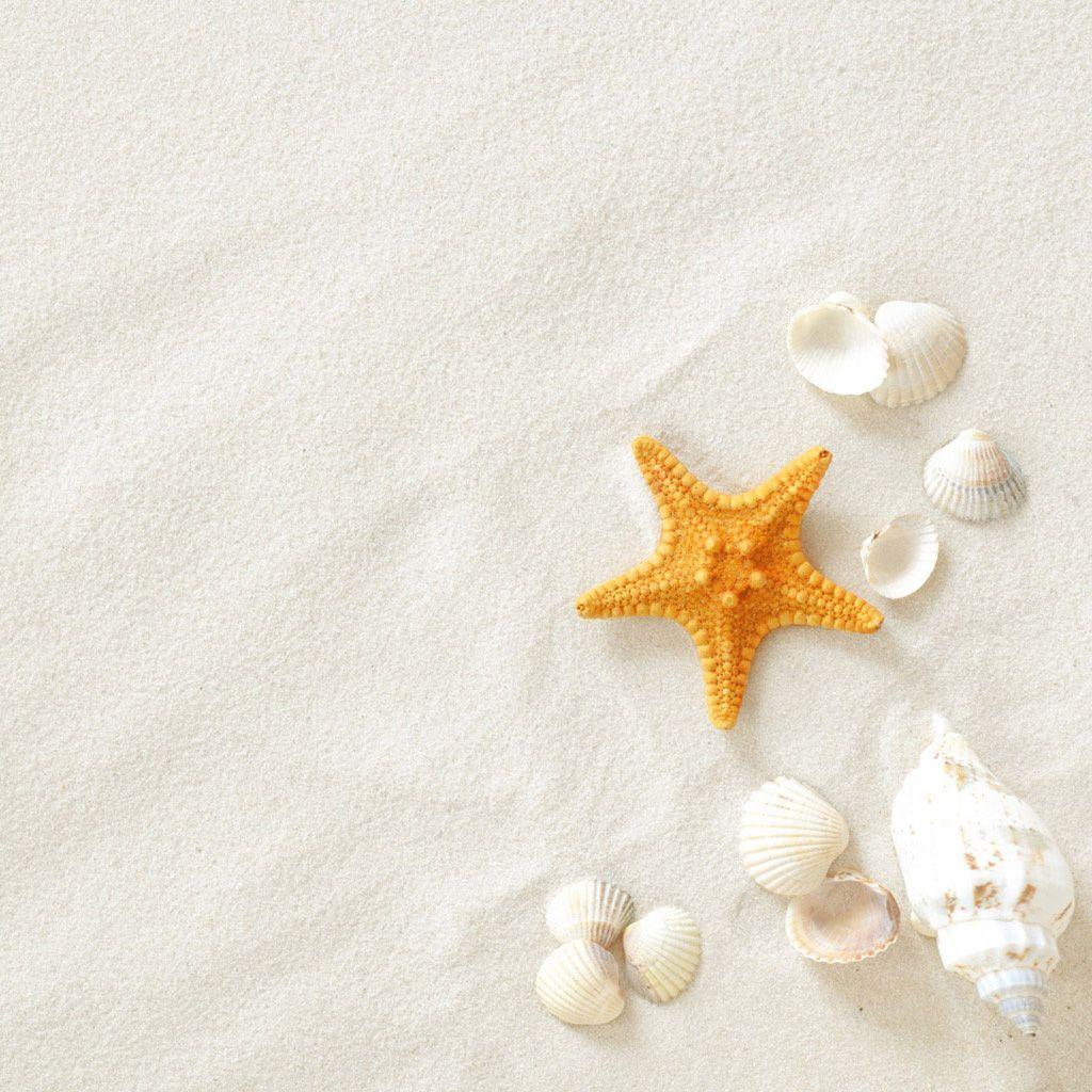 White Sand 3081 HD Wallpaper Picture. Top Wallpaper Gallery Photo
