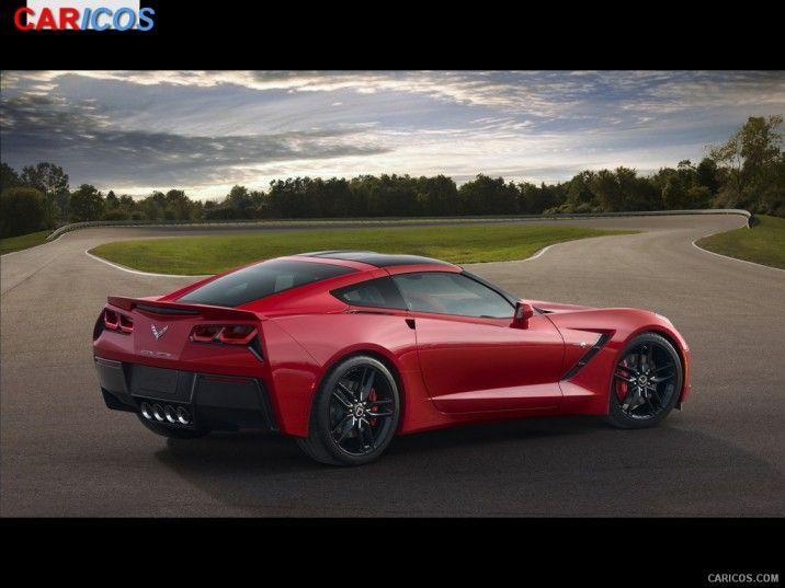 Stingray Wallpapers - Wallpaper Cave