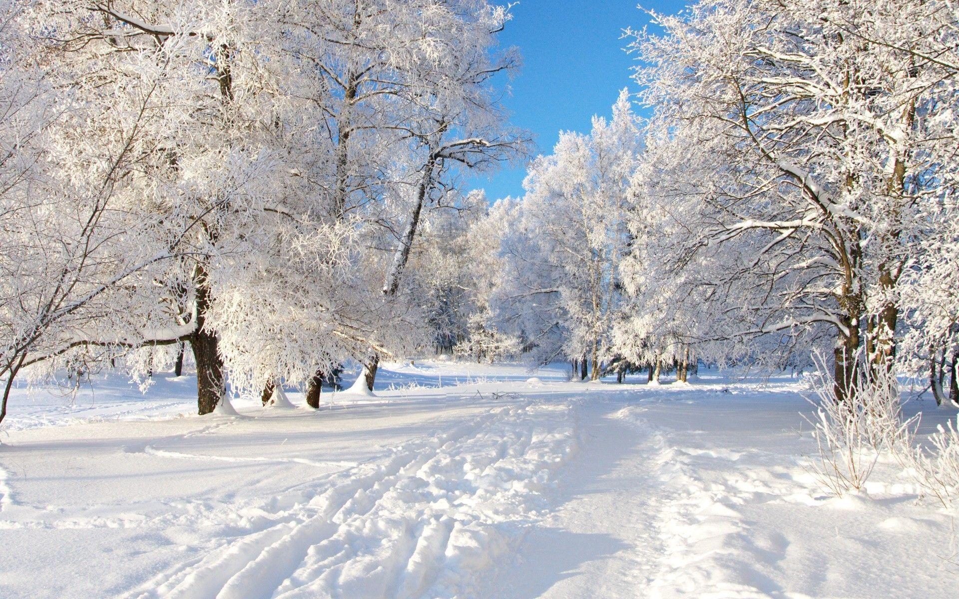 Wallpaper For > Computer Background Nature Winter