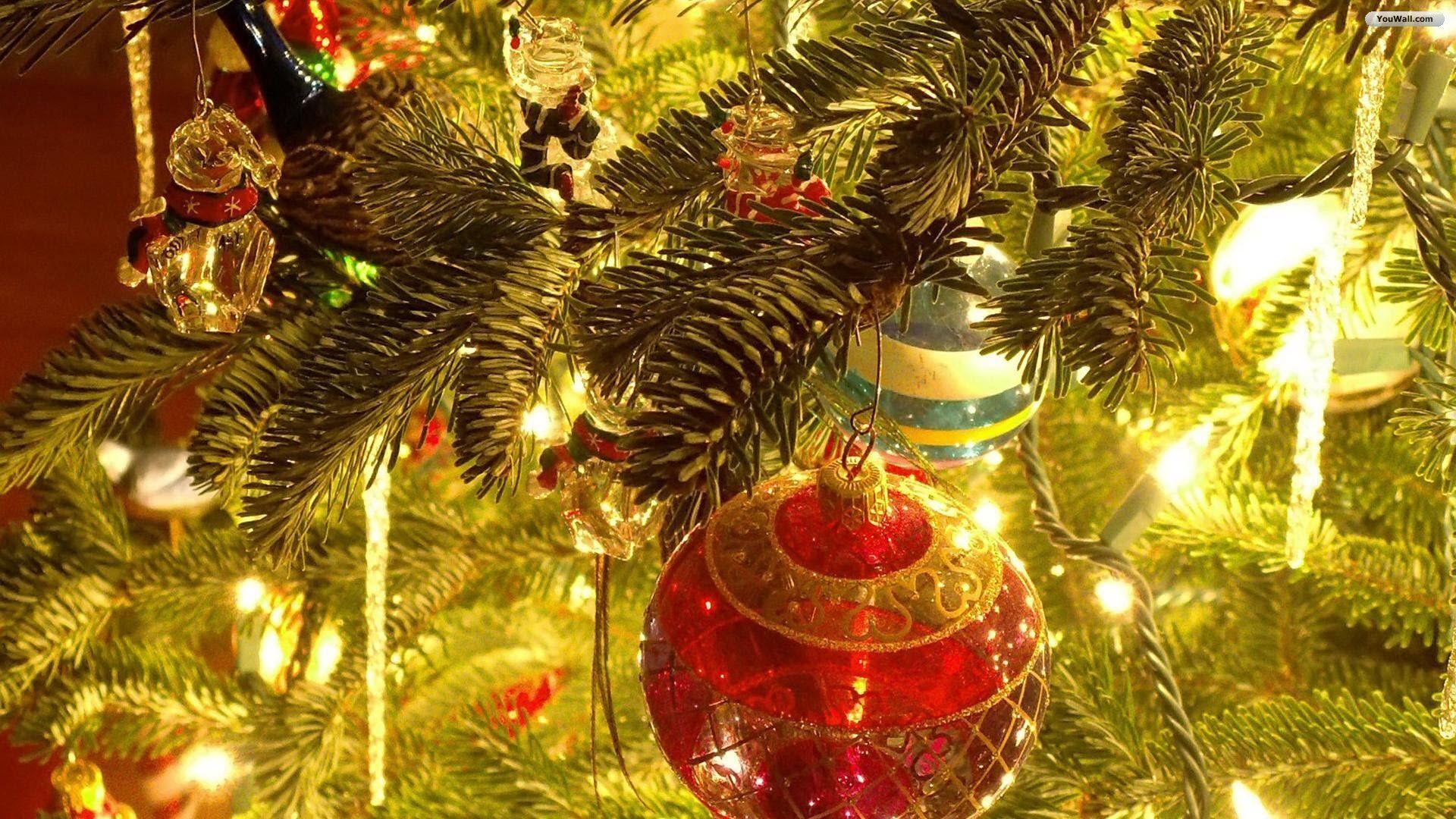 Christmas Tree Wallpaper And Picture