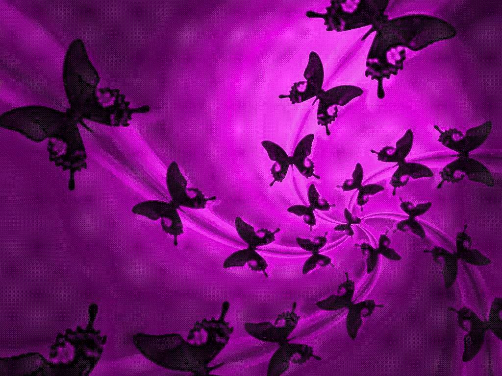Purple Butterfly Image Free Wallpaper