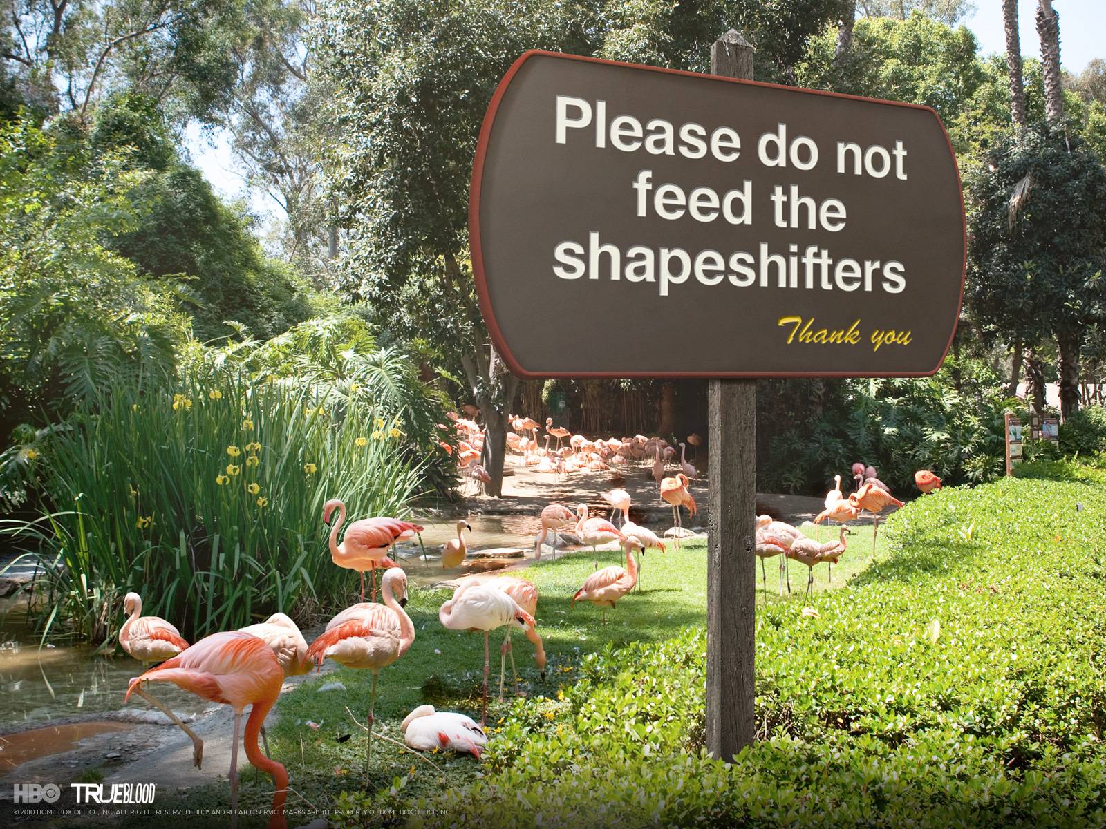 HBO: True Blood: Extras: Season 3 Posters: Please Do Not Feed