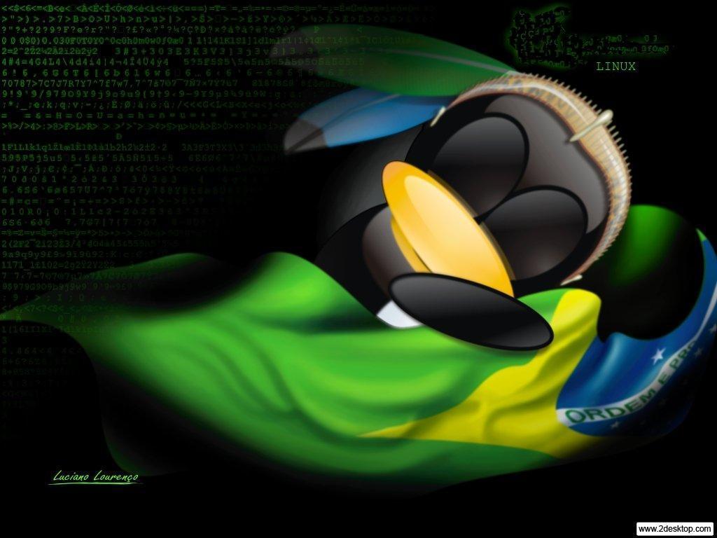 Papel de Parede Linux dormindo com a bandeira do Brasil