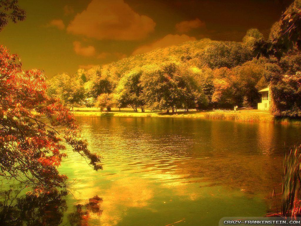 Beautiful Autumn HD Wallpaper 28