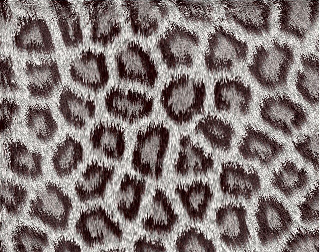 Animals For > Cheetah Background Twitter