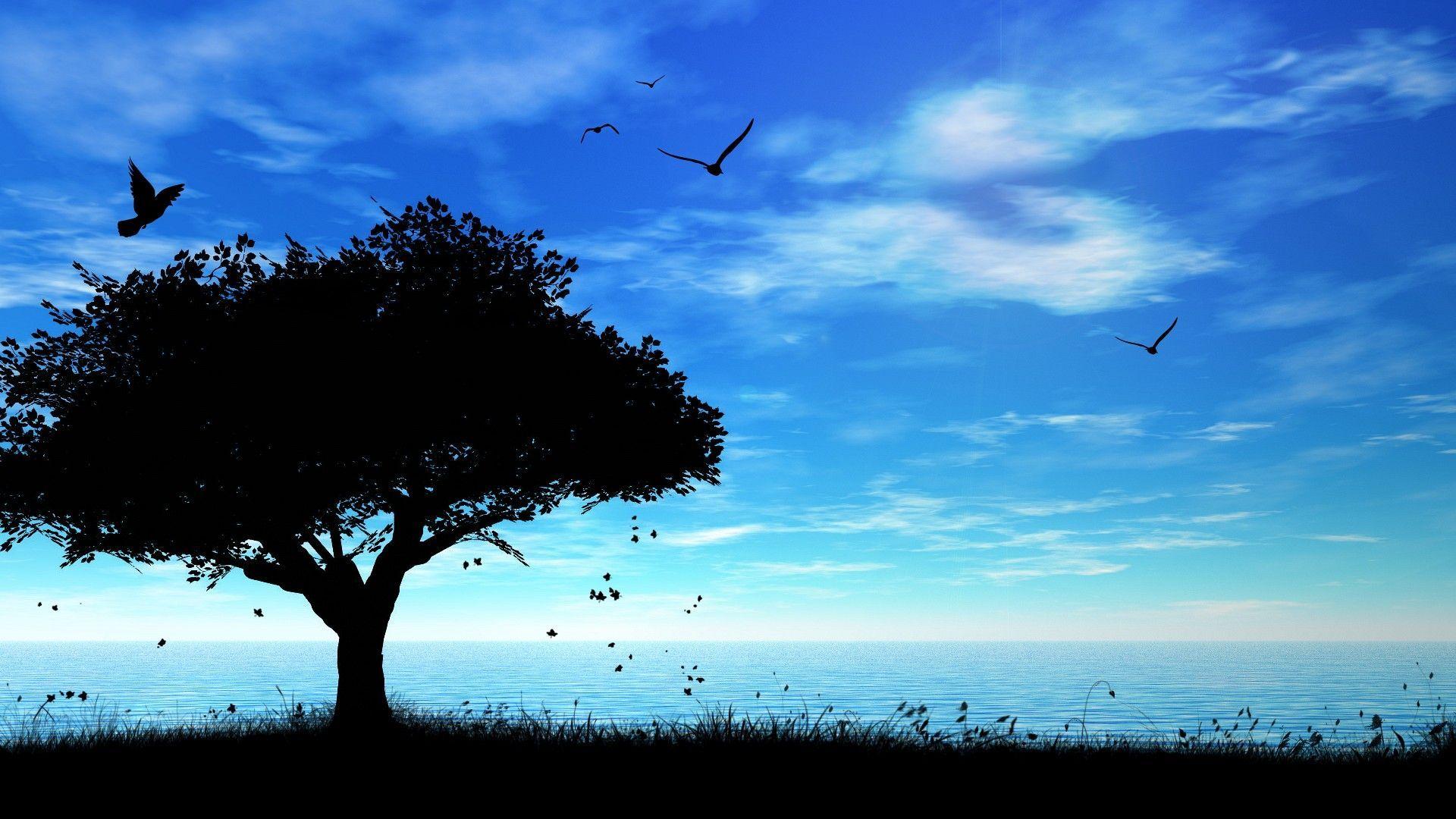 HD Nature Wallpaper 93 38888 Image HD Wallpaper. wallfoy