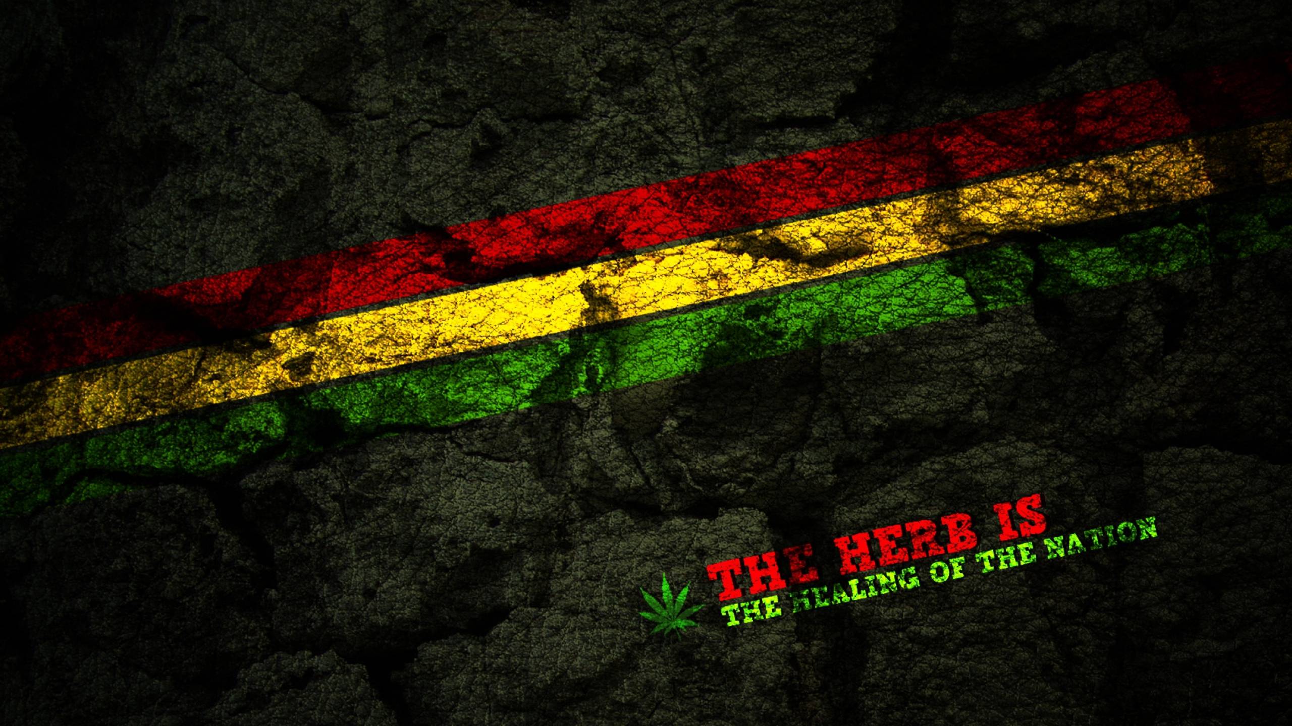 Download Wallpaper 2560x1440 brand, style, rastas, netherlands Mac