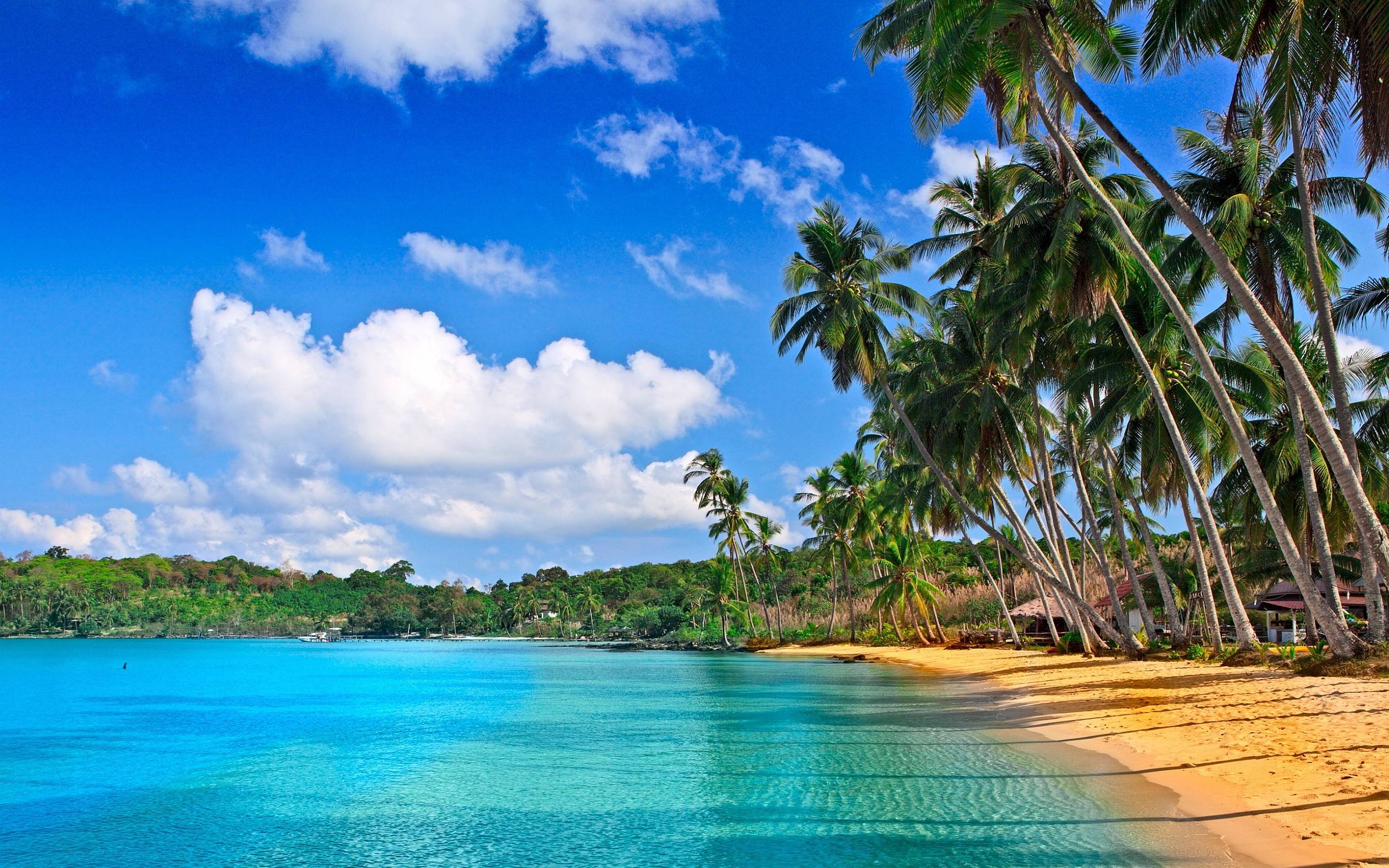 Tropical beach HD Wallpaper