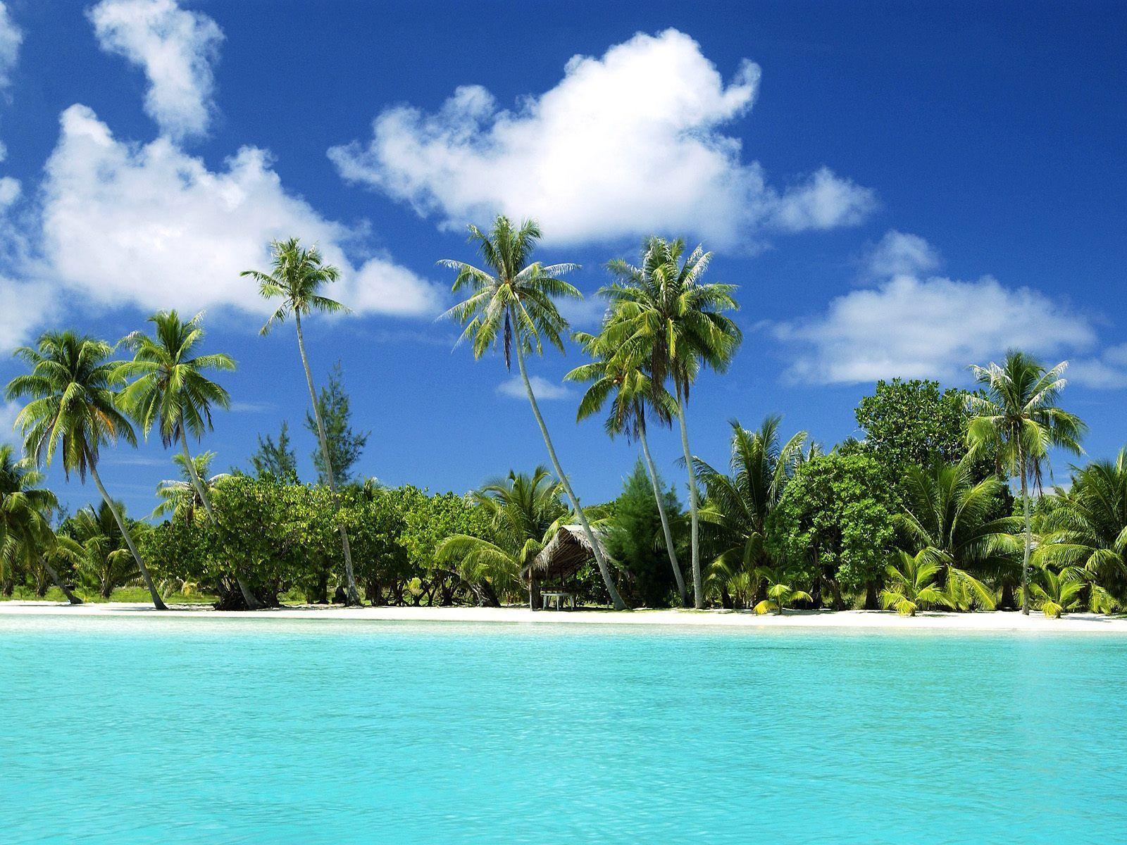 tropical island background