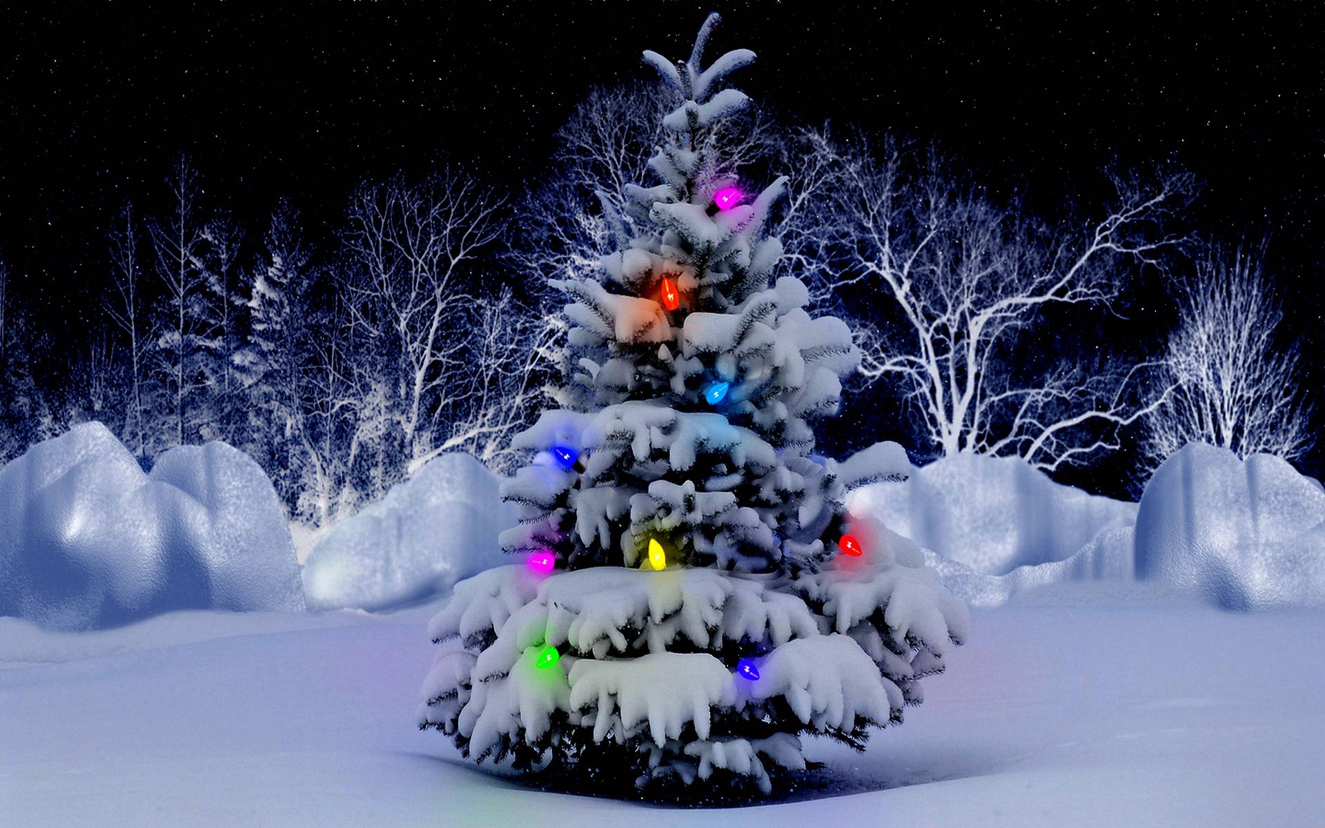 Amazing Christmas Tree WallPaper HD