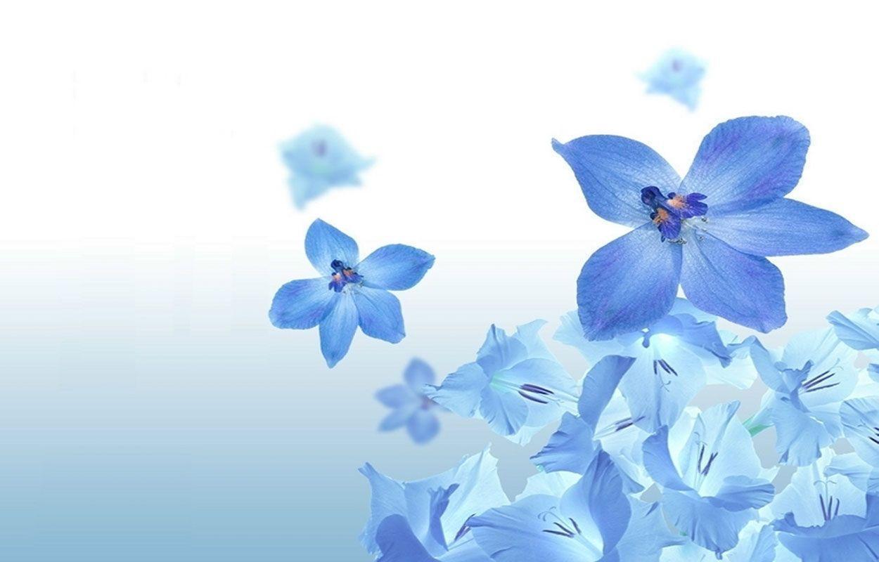 Wallpaper For > Blue Flower Background