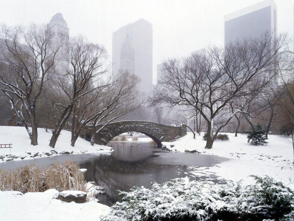 Central Park in winter desktop PC and Mac wallpaper