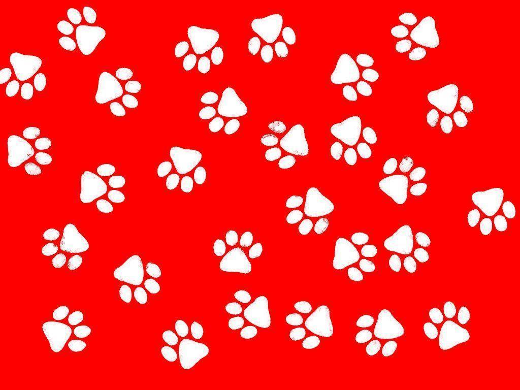 Wallpaper For > Cute Paw Print Background