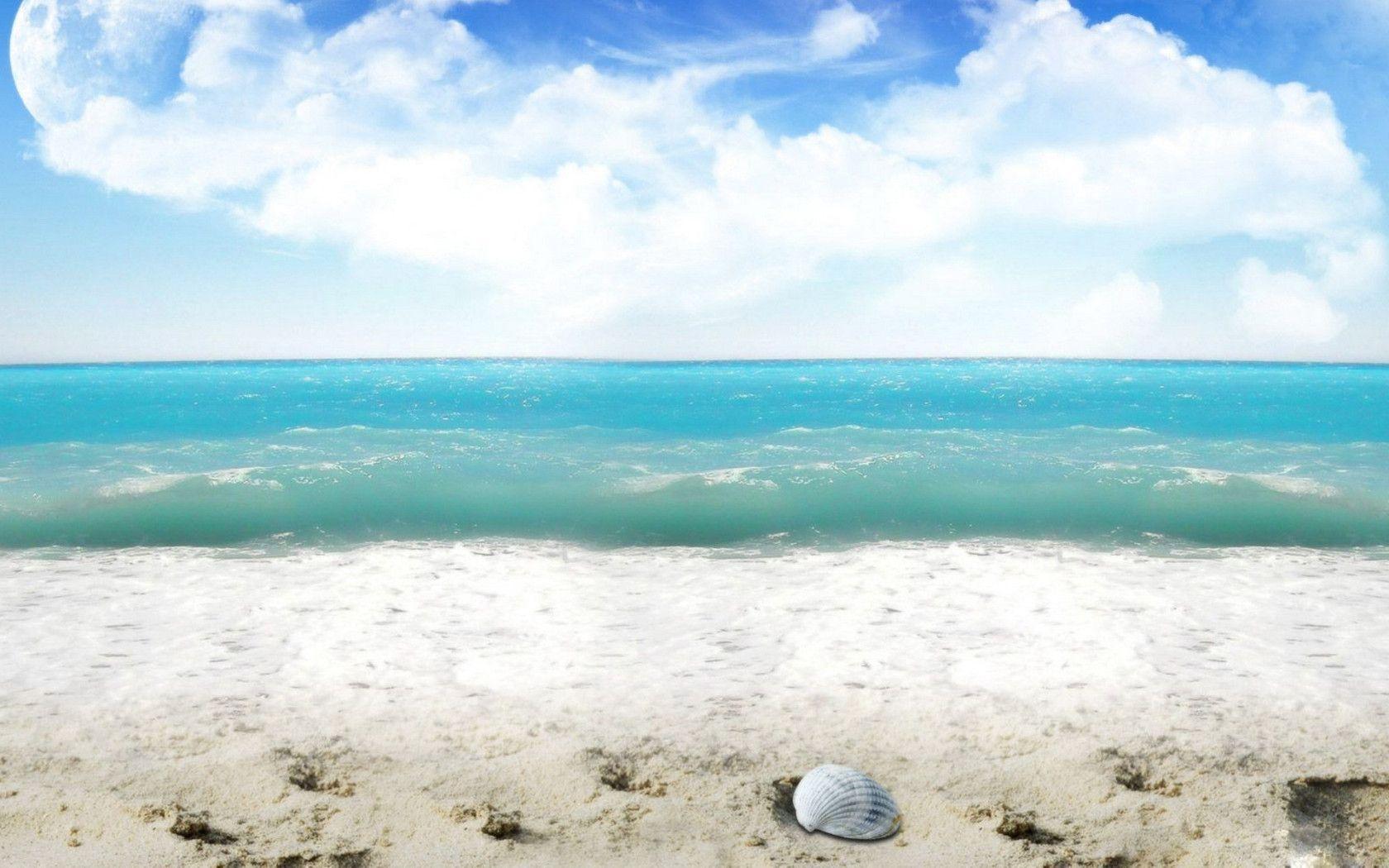 Sea Shell on the Beach widescreen wallpapers