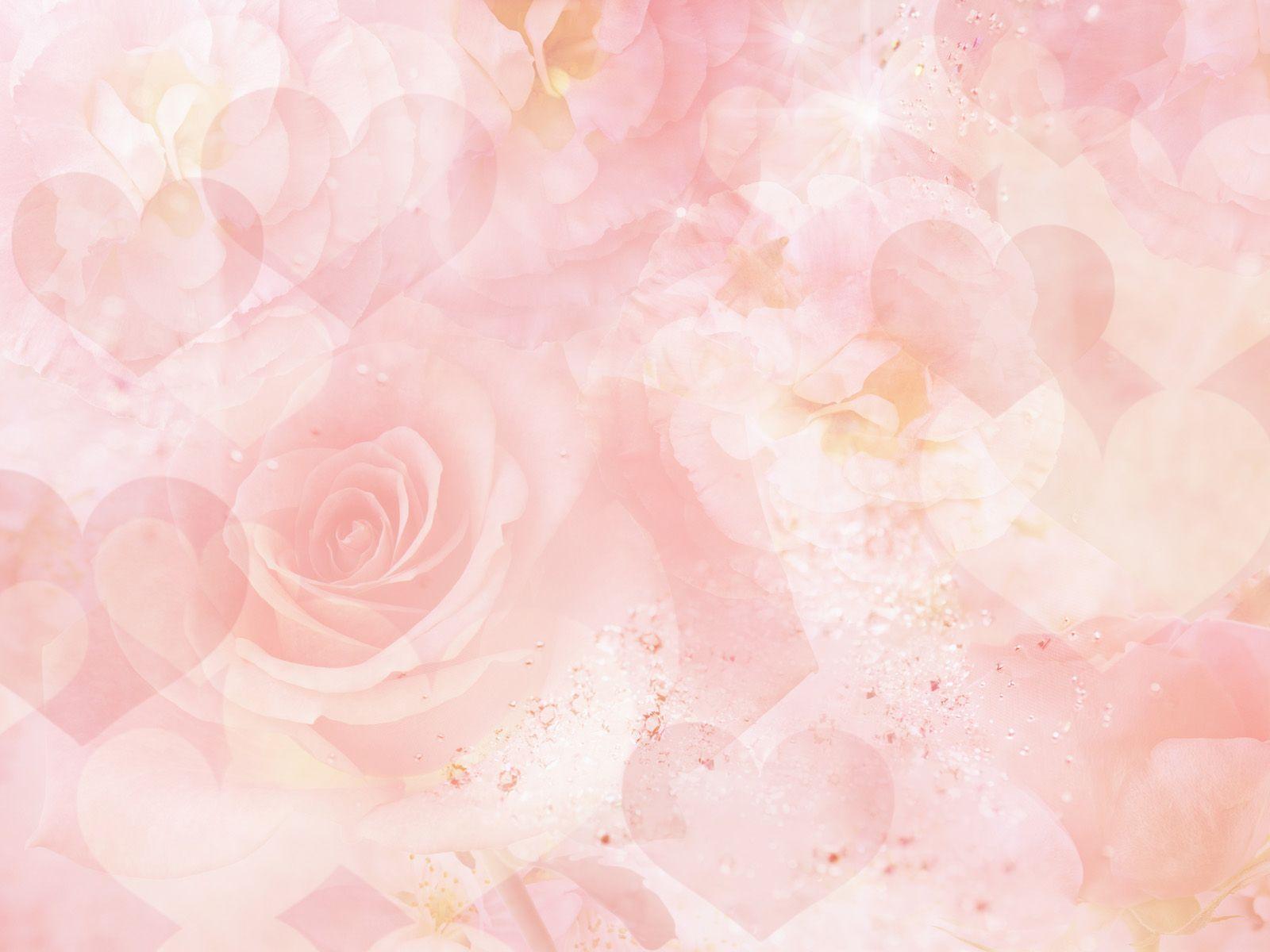 Flowers For > Pink Roses Background