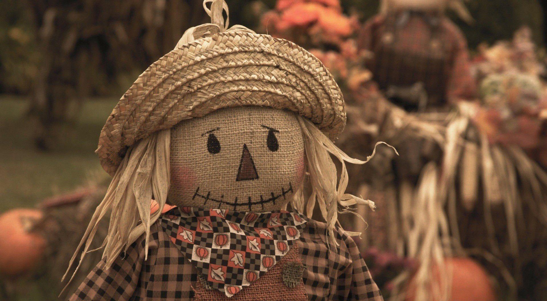 Scarecrow Doll Desktop Wallpaper