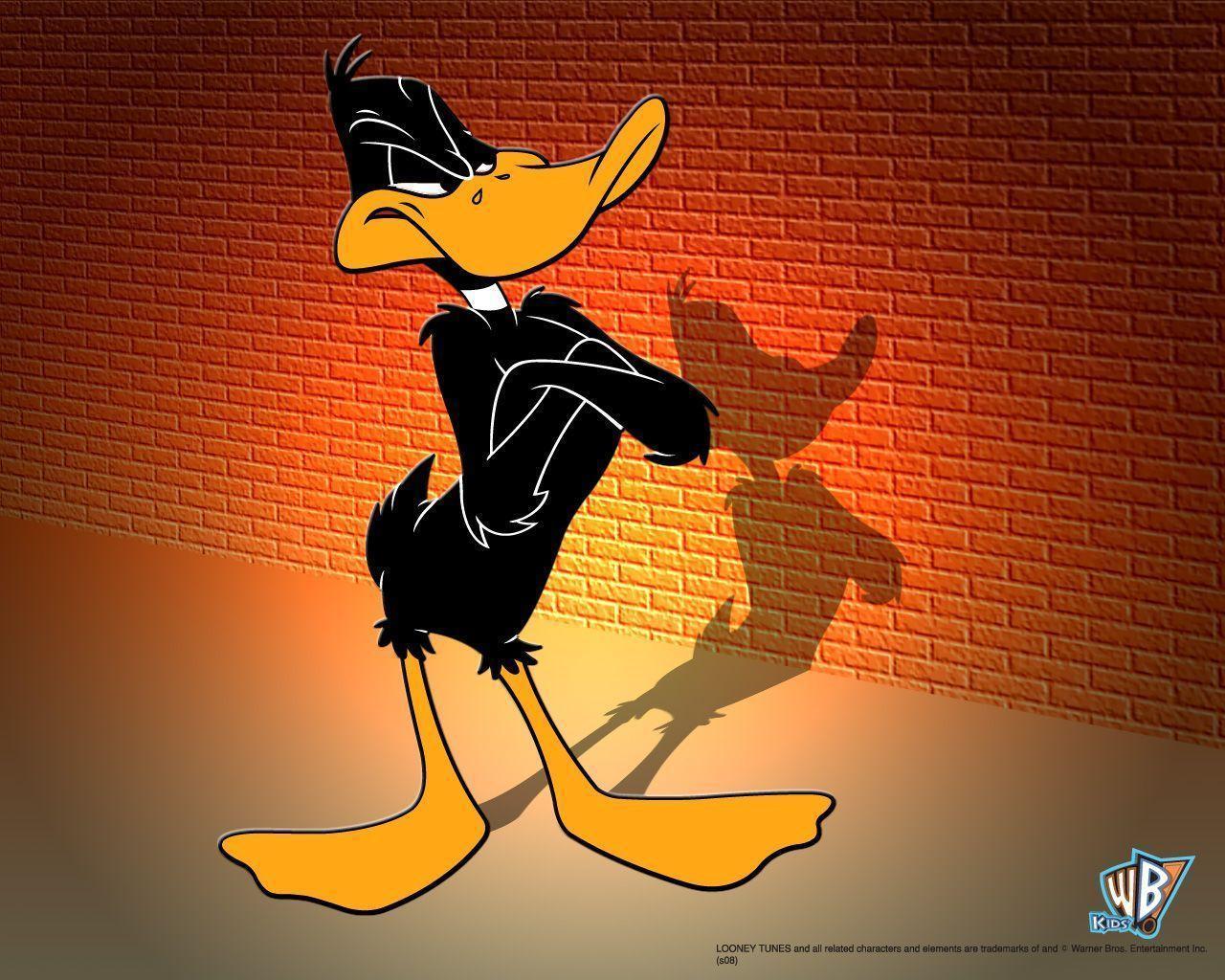 Daffy Duck Looney Tunes Cartoons Wallpaper Picture