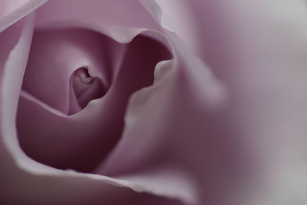 Free desktop wallpaper and background picture