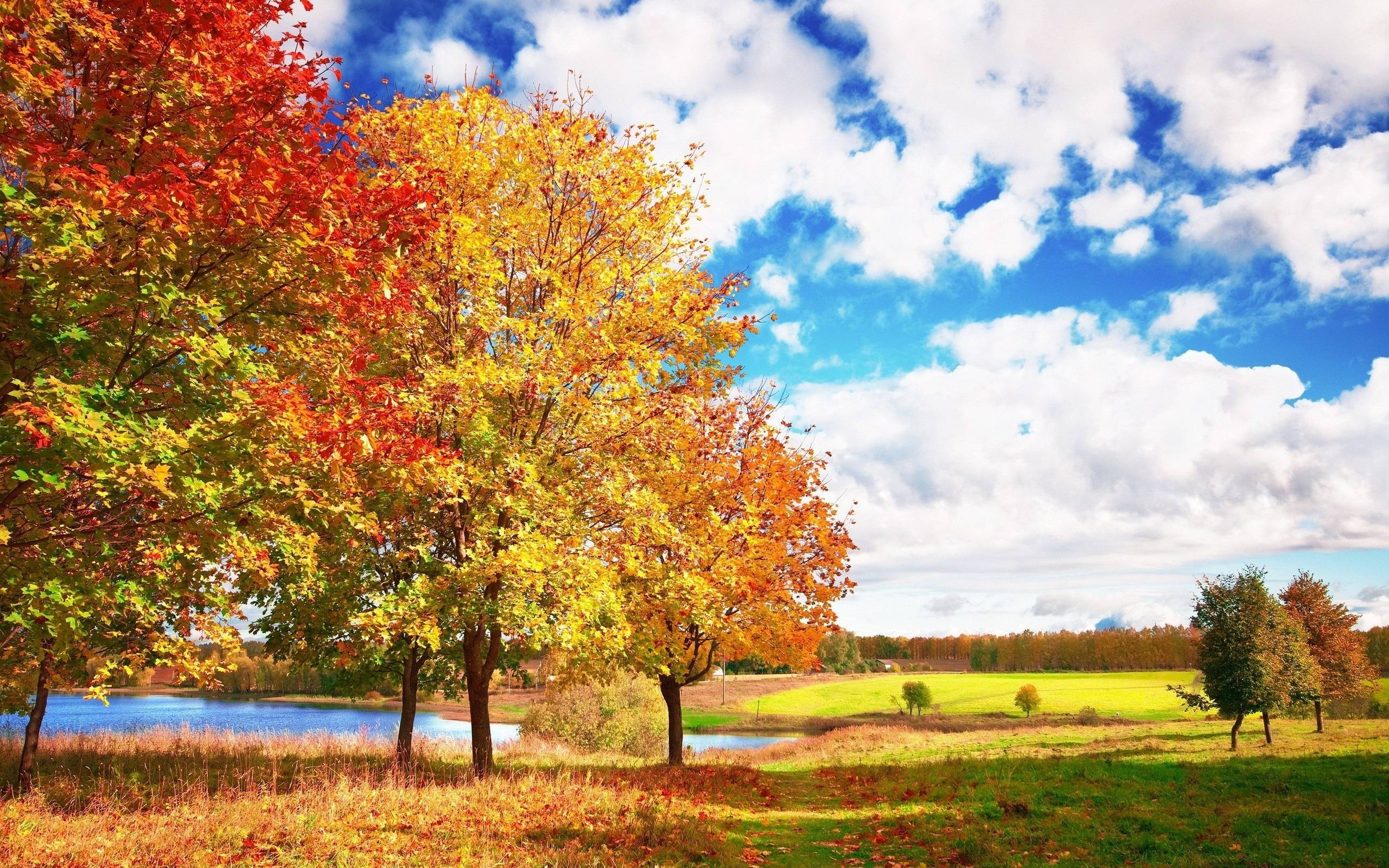 Autumn Trees Lake Wallpaper HD 20526 Full HD Wallpaper Desktop