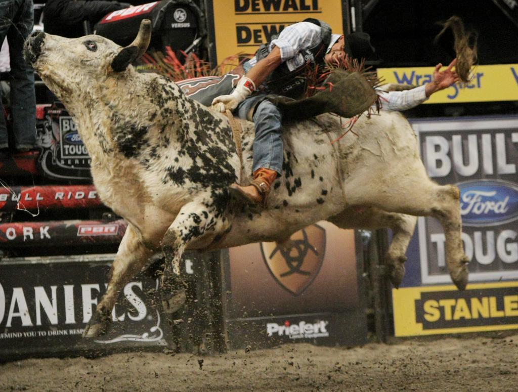 Wallpapers For > Bull Riding Wallpapers