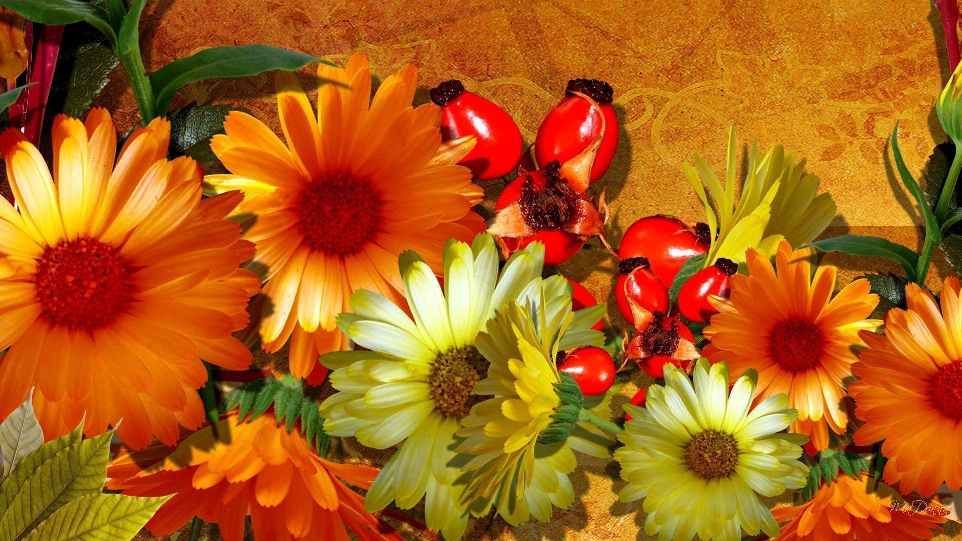Page 3  28000 Fall Flowers Wallpaper Pictures