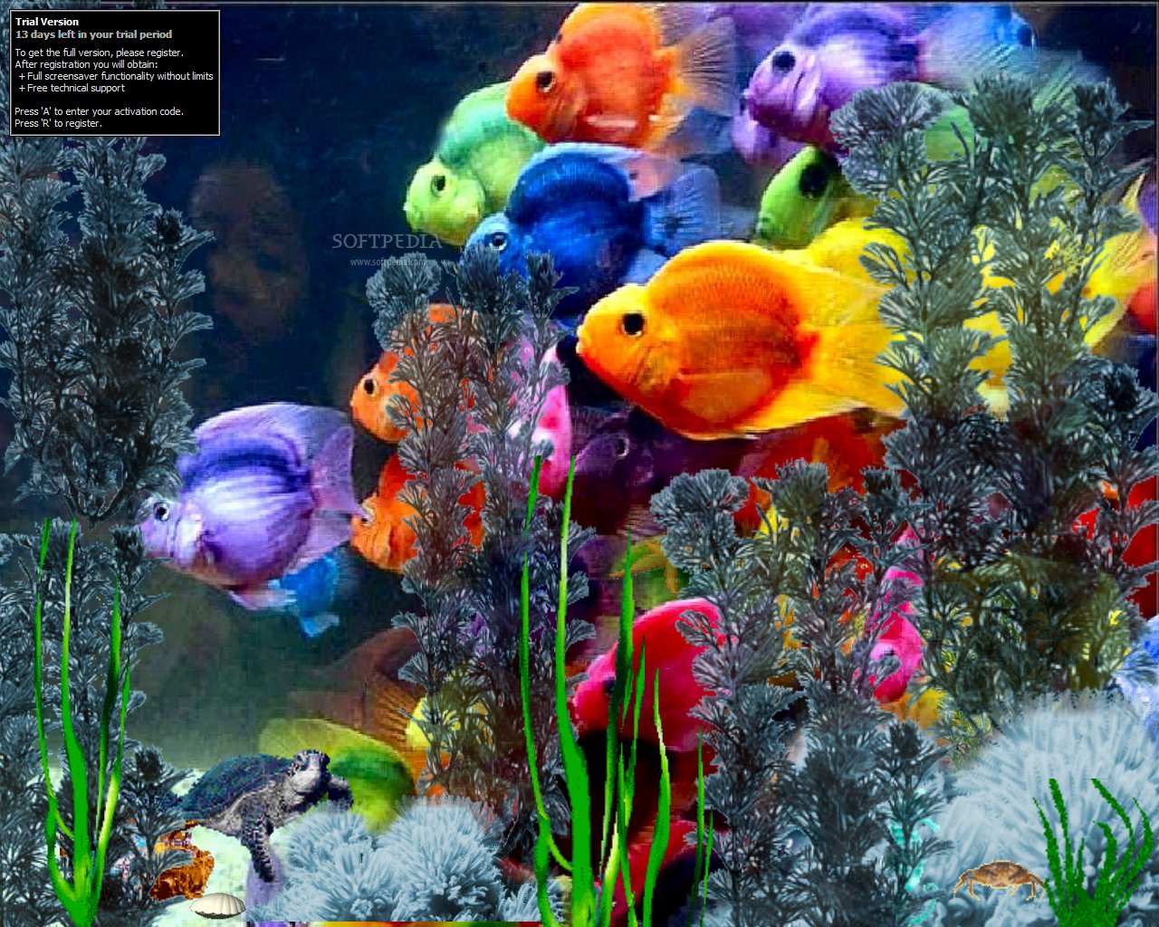 Microsoft Fish Screensaver Wallpaper. Best Free Wallpaper