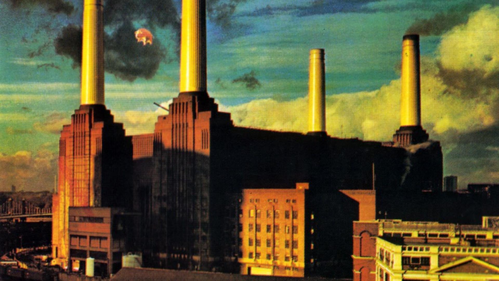 Wallpapers For > Pink Floyd Wallpapers Widescreen Hd