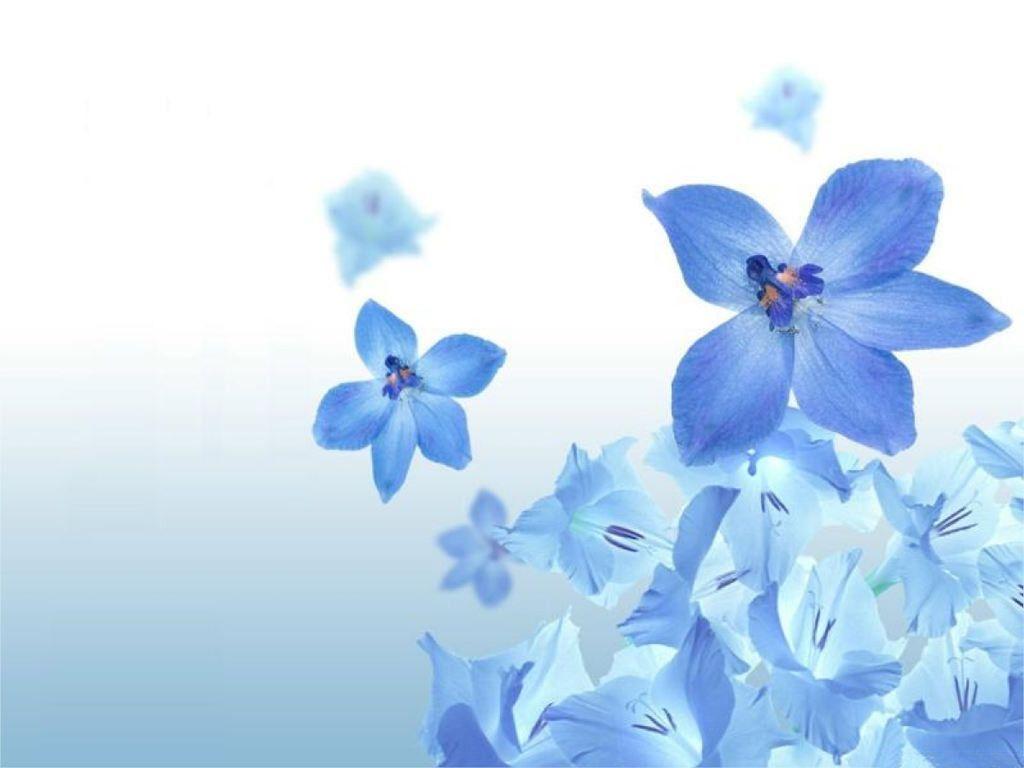 blue flower wallpaper