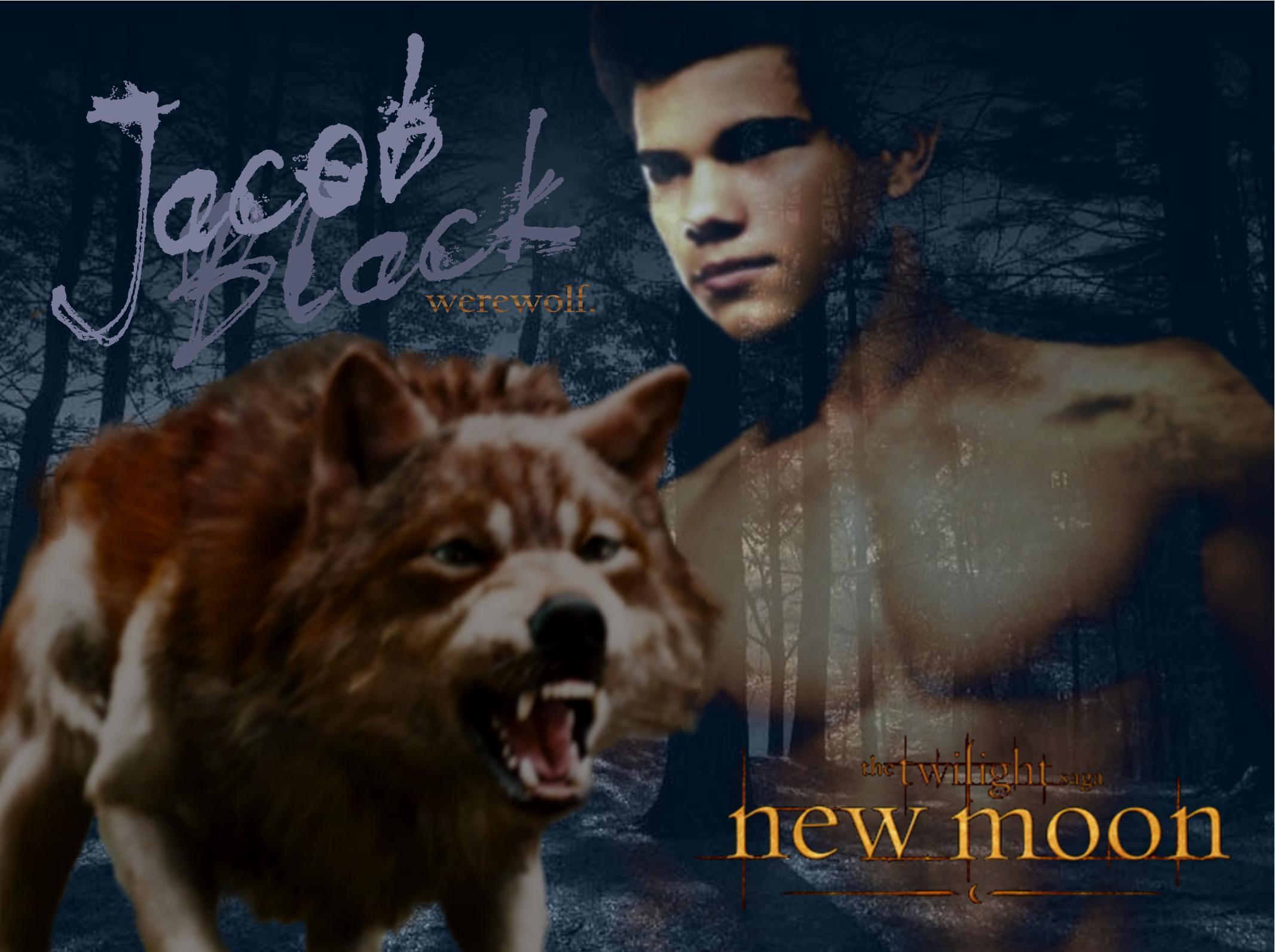 Wallpaper For > New Moon Wallpaper Jacob Black