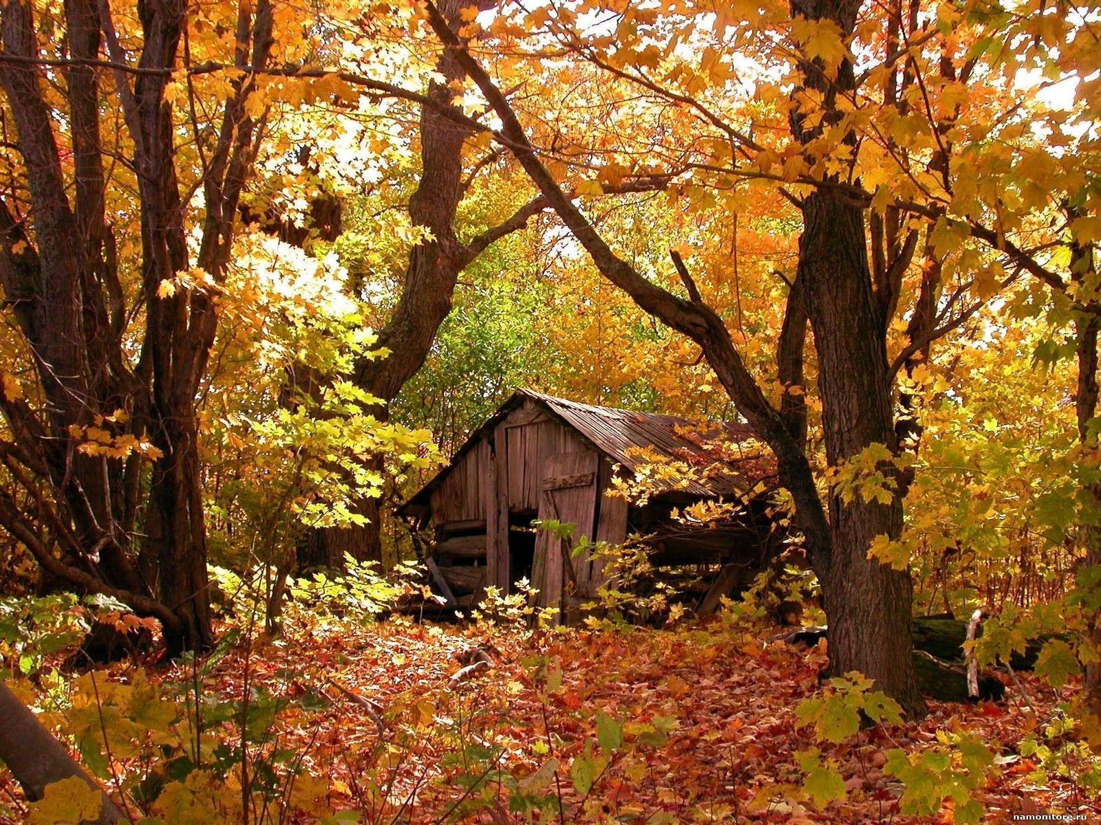 Nature & Landscape, Amusing Autumn Desktop Home Desktop Wallpaper