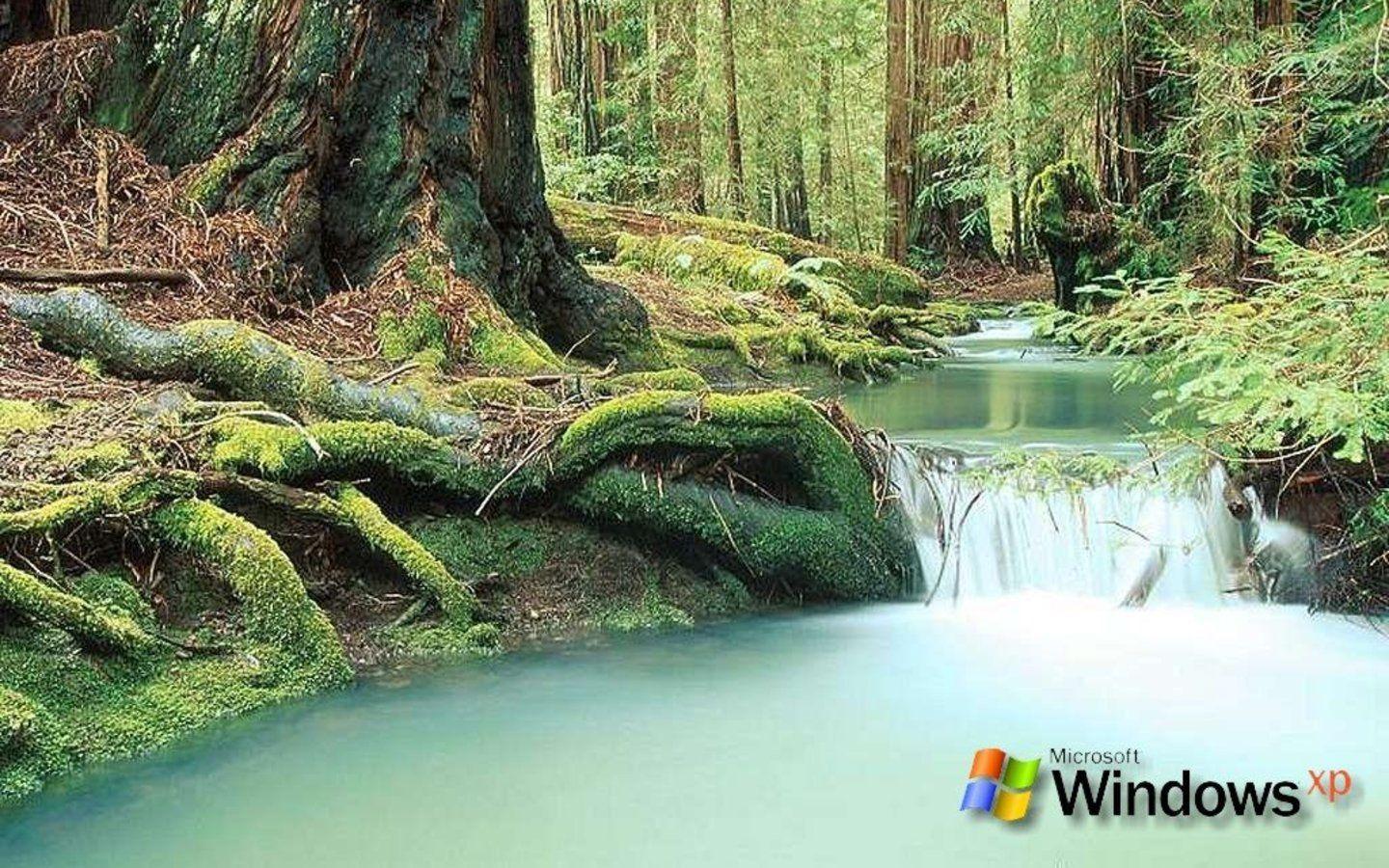 Free HQ Windows XP Nature Wallpapers