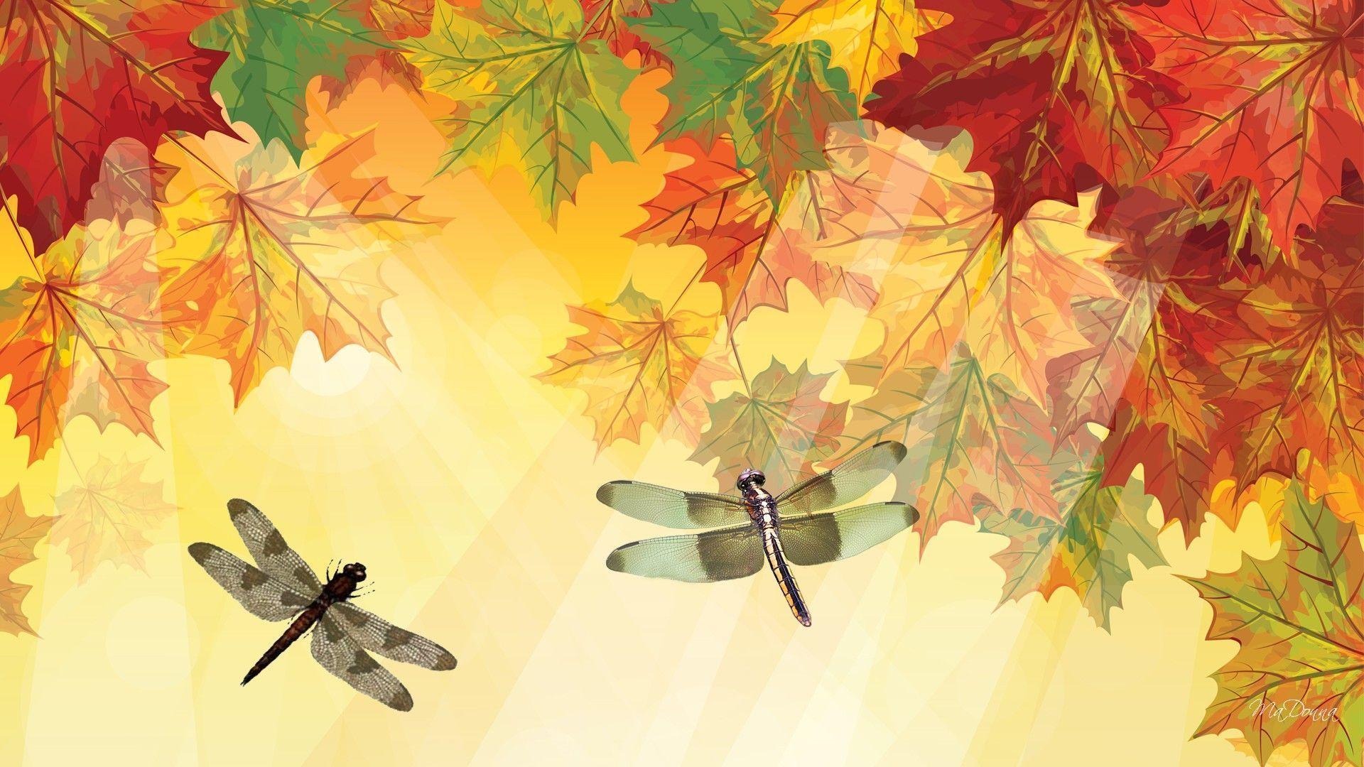HD Leaves Dragonflies Wallpaper