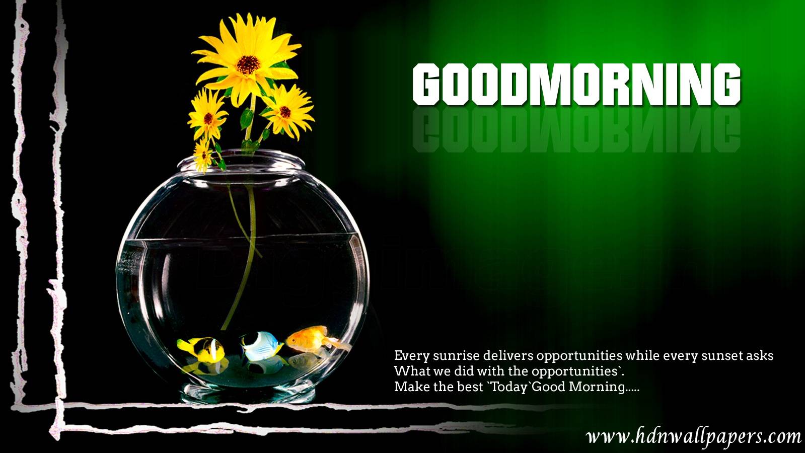 Good Morning New Wallpaper Free Download For Laptop