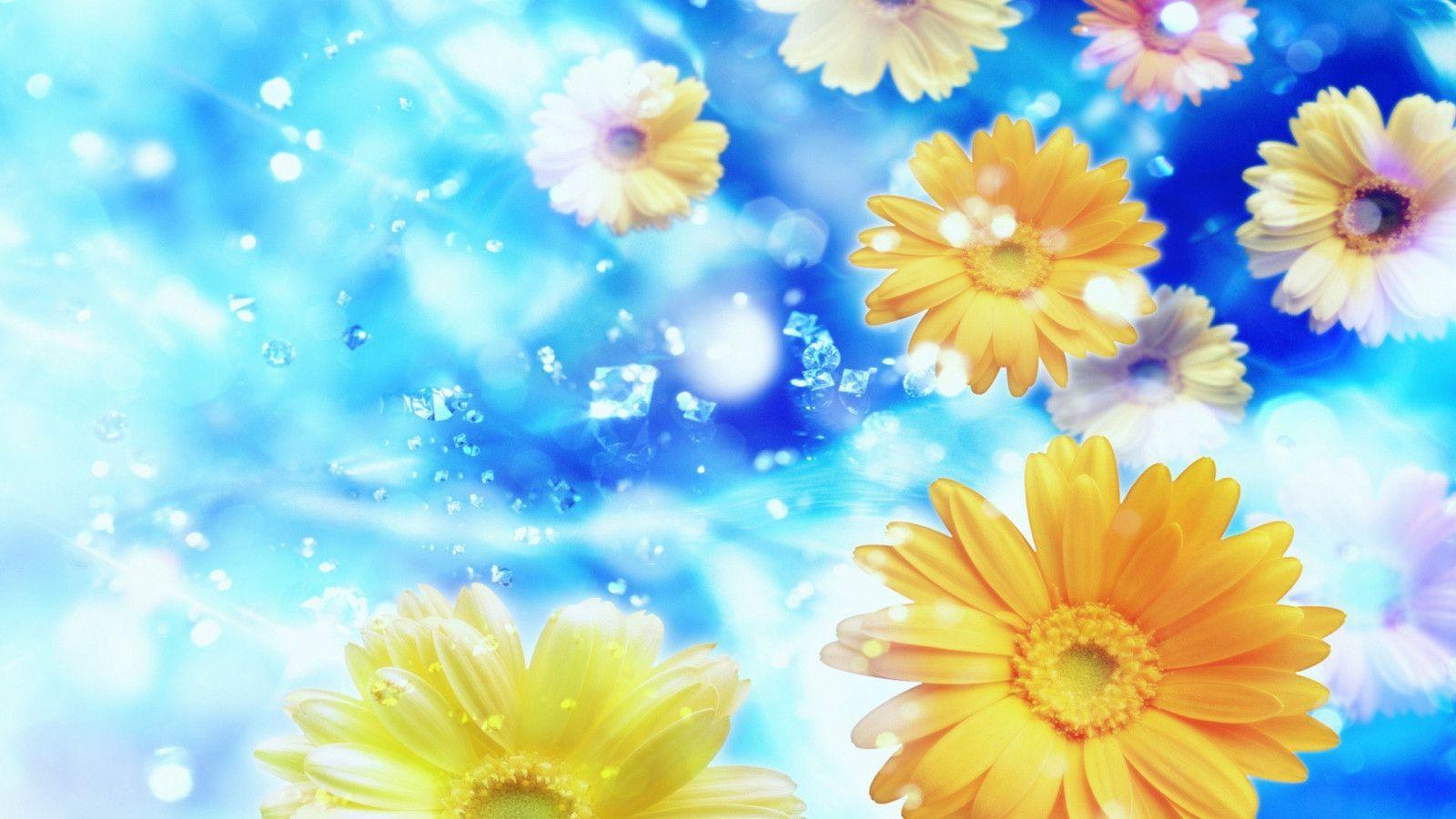 Download 1600x900 Resolution Of High Def Background Flowers