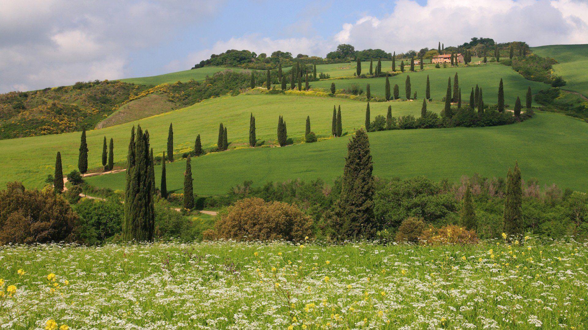 Landscapes hills Italy Siena Toscana Tuscany Monticchiello Pienza